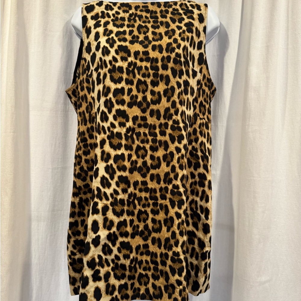 Zara Animal Print Dress